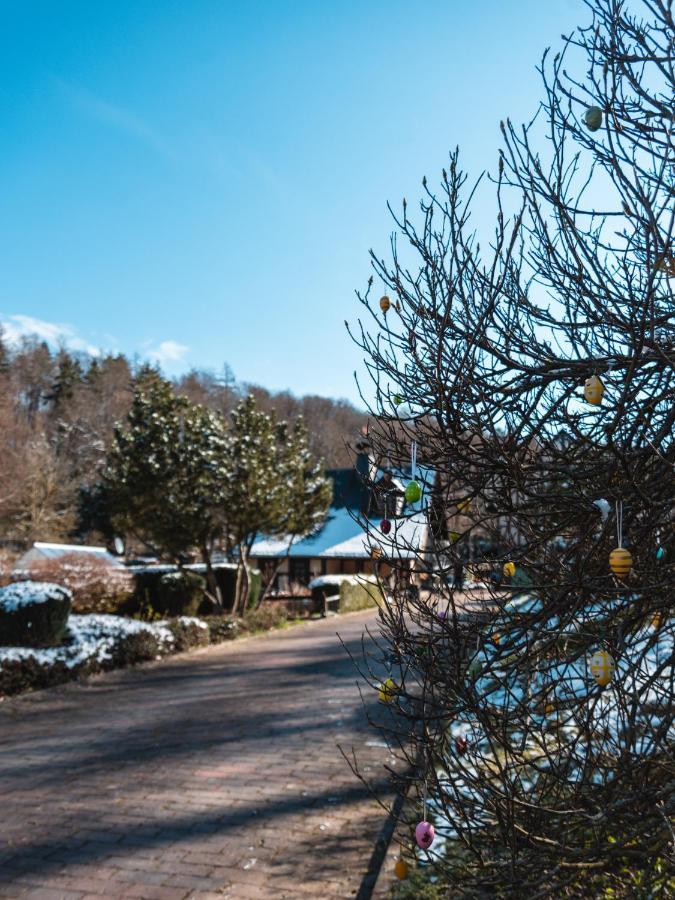 Gastehaus Eponada Villa Weisel Exterior photo